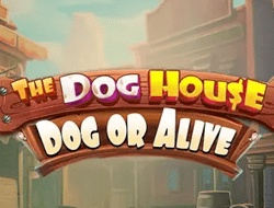 The Dog House – Dog or Alive